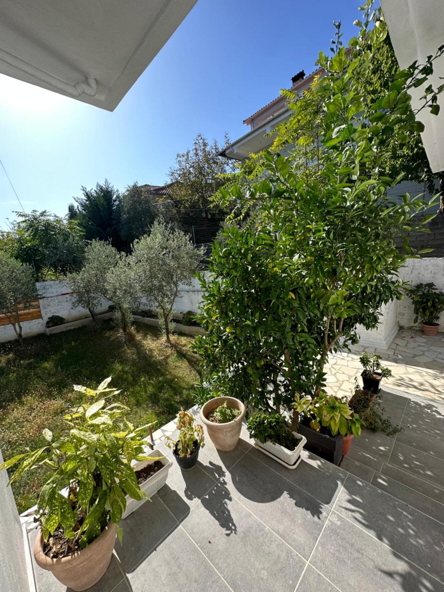Villa Braho Gjirokastër 외부 사진