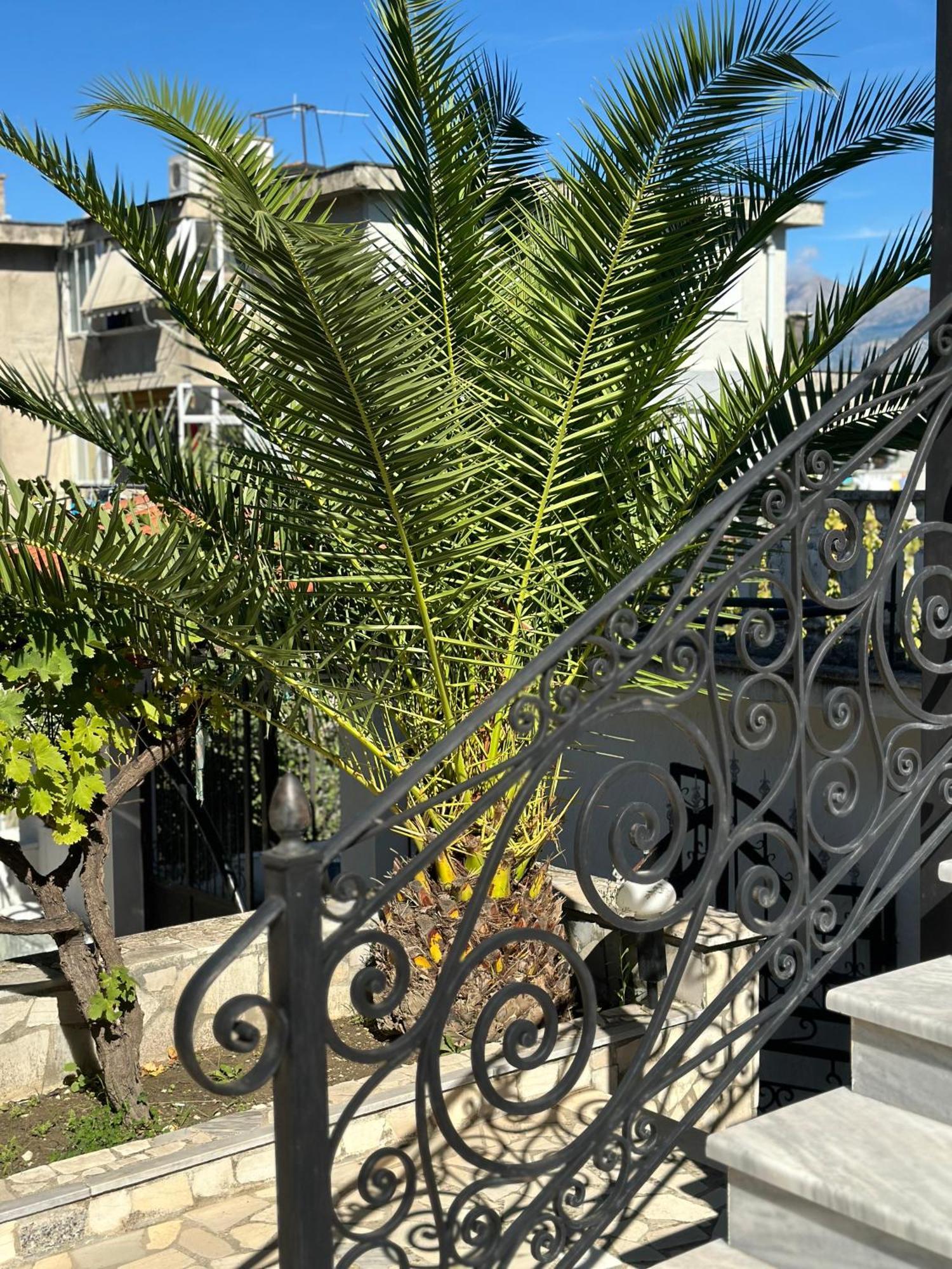 Villa Braho Gjirokastër 외부 사진