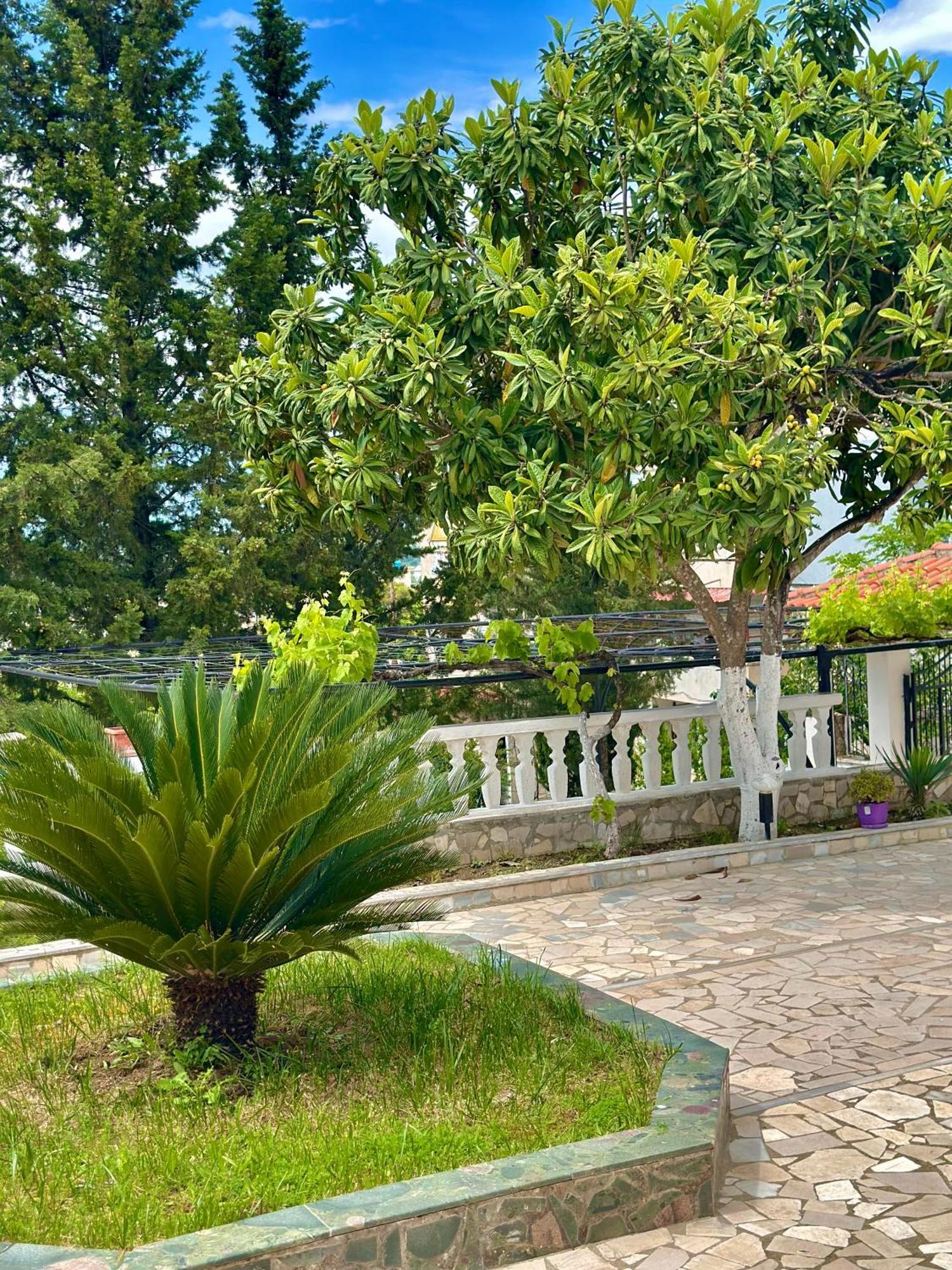 Villa Braho Gjirokastër 외부 사진